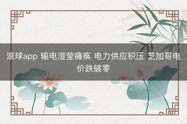 滚球app 输电澄莹瘫痪 电力供应积压 芝加哥电价跌破零