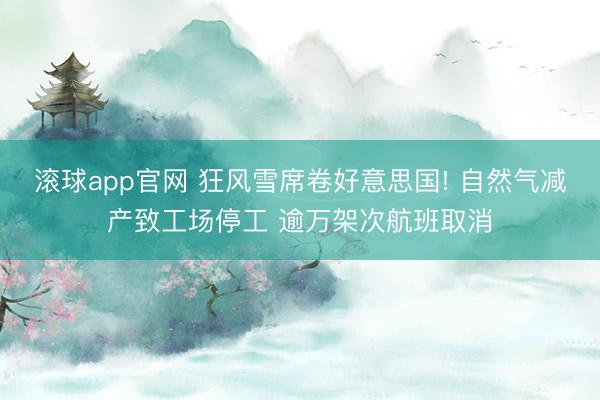 滚球app官网 狂风雪席卷好意思国! 自然气减产致工场停工 逾万架次航班取消