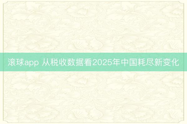 滚球app 从税收数据看2025年中国耗尽新变化