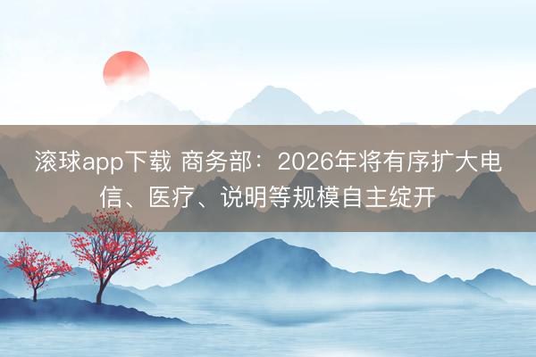 滚球app下载 商务部：2026年将有序扩大电信、医疗、说明等规模自主绽开