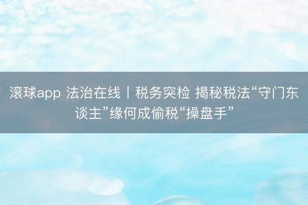 滚球app 法治在线丨税务突检 揭秘税法“守门东谈主”缘何成偷税“操盘手”