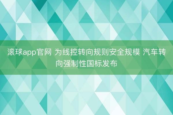 滚球app官网 为线控转向规则安全规模 汽车转向强制性国标发布