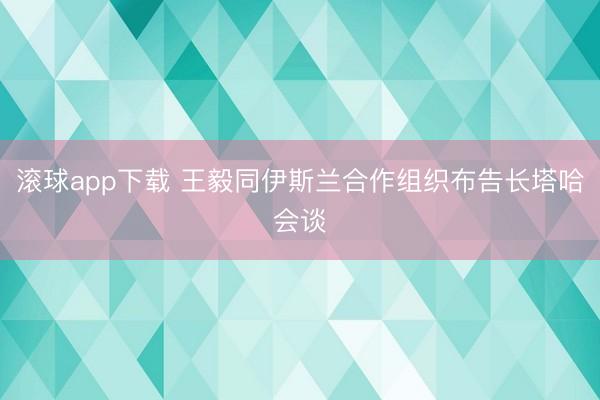 滚球app下载 王毅同伊斯兰合作组织布告长塔哈会谈