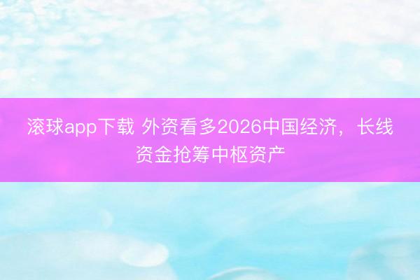 滚球app下载 外资看多2026中国经济,长线资金抢筹中枢资产