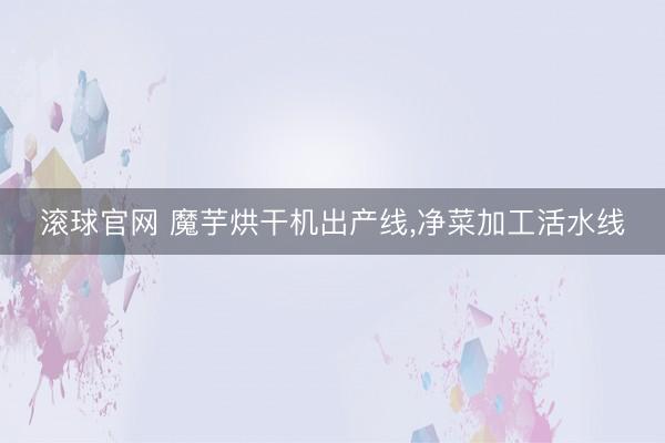 滚球官网 魔芋烘干机出产线,净菜加工活水线