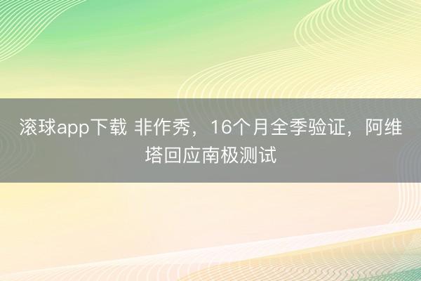 滚球app下载 非作秀,16个月全季验证,阿维塔回应南极测试
