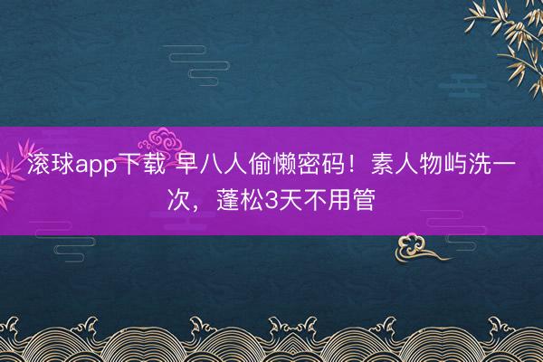 滚球app下载 早八人偷懒密码！素人物屿洗一次，蓬松3天不用管