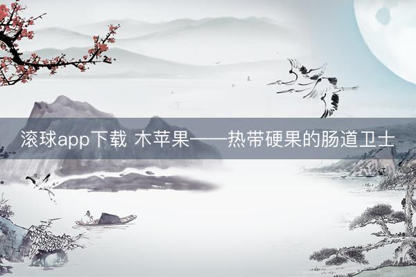 滚球app下载 木苹果——热带硬果的肠道卫士