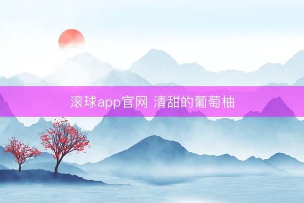 滚球app官网 清甜的葡萄柚