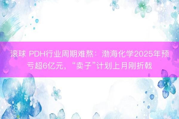 滚球 PDH行业周期难熬:渤海化学2025年预亏超6亿元,“卖子”计划上月刚折戟