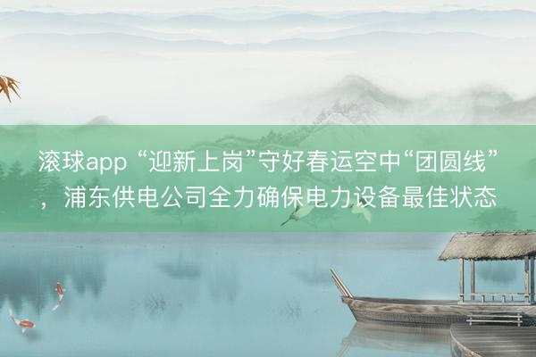 滚球app “迎新上岗”守好春运空中“团圆线”，浦东供电公司全力确保电力设备最佳状态