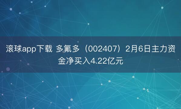 滚球app下载 多氟多（002407）2月6日主力资金净买入4.22亿元