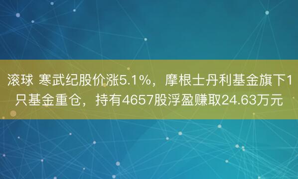滚球 寒武纪股价涨5.1%，摩根士丹利基金旗下1只基金重仓，持有4657股浮盈赚取24.63万元