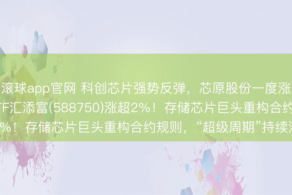 滚球app官网 科创芯片强势反弹,芯原股份一度涨超10%,科创芯片ETF汇添富(588750)涨超2%!存储芯片巨头重构合约规则,“超级周期”持续演绎
