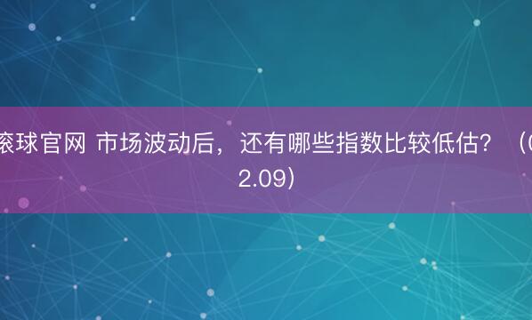 滚球官网 市场波动后，还有哪些指数比较低估？（02.09）