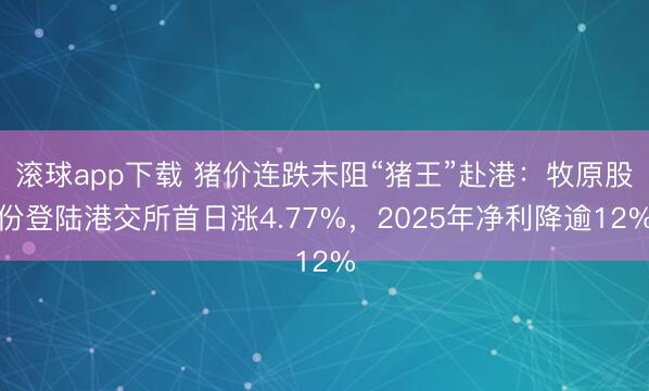 滚球app下载 猪价连跌未阻“猪王”赴港:牧原股份登陆港交所首日涨4.77%,2025年净利降逾12%