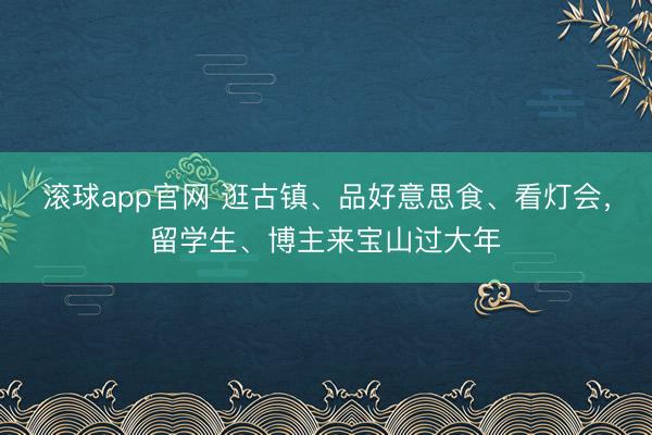 滚球app官网 逛古镇、品好意思食、看灯会,留学生、博主来宝山过大年