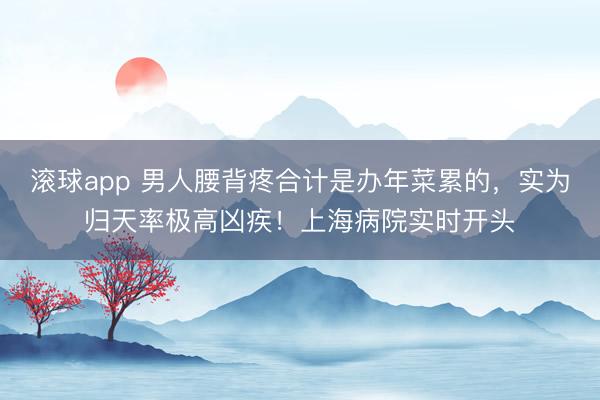滚球app 男人腰背疼合计是办年菜累的，实为归天率极高凶疾！上海病院实时开头
