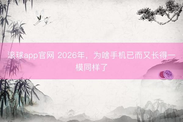 滚球app官网 2026年,为啥手机已而又长得一模同样了