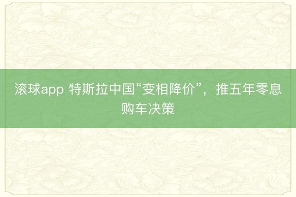 滚球app 特斯拉中国“变相降价”，推五年零息购车决策