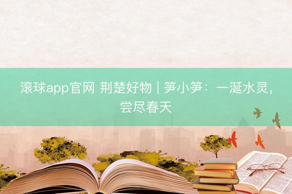 滚球app官网 荆楚好物 | 笋小笋：一涎水灵，尝尽春天