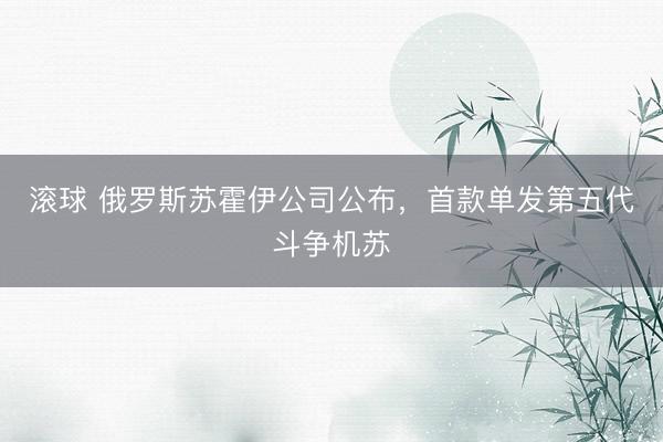 滚球 俄罗斯苏霍伊公司公布,首款单发第五代斗争机苏
