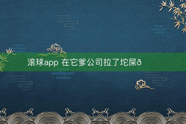 滚球app 在它爹公司拉了坨屎😂