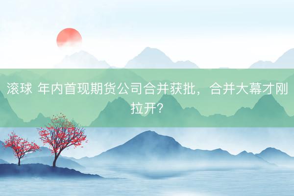 滚球 年内首现期货公司合并获批,合并大幕才刚拉开?
