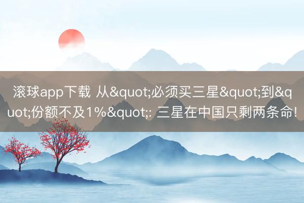 滚球app下载 从"必须买三星"到"份额不及1%": 三星在中国只剩两条命!