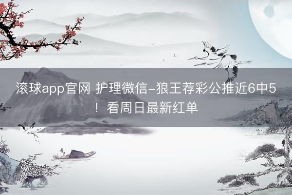 滚球app官网 护理微信-狼王荐彩公推近6中5！看周日最新红单