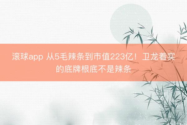滚球app 从5毛辣条到市值223亿！卫龙着实的底牌根底不是辣条