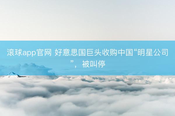 滚球app官网 好意思国巨头收购中国“明星公司”，被叫停