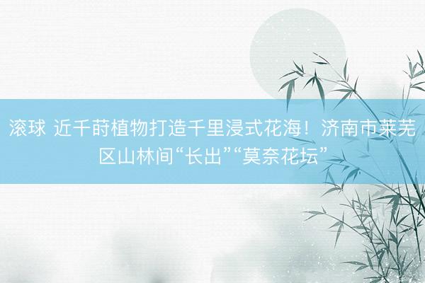 滚球 近千莳植物打造千里浸式花海！济南市莱芜区山林间“长出”“莫奈花坛”