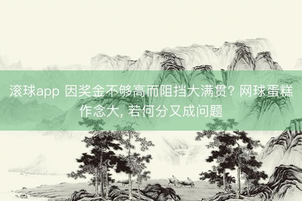 滚球app 因奖金不够高而阻挡大满贯? 网球蛋糕作念大， 若何分又成问题