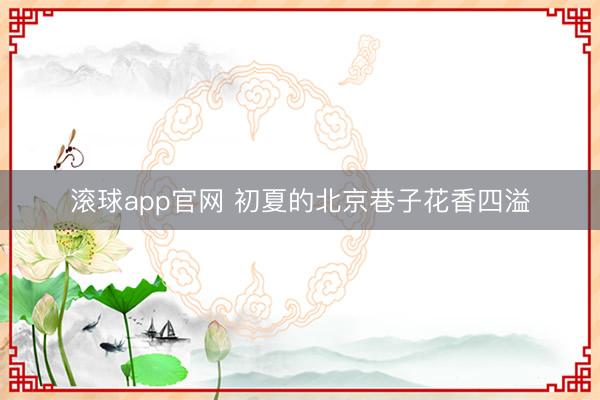 滚球app官网 初夏的北京巷子花香四溢