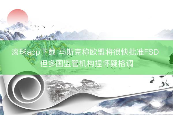 滚球app下载 马斯克称欧盟将很快批准FSD 但多国监管机构捏怀疑格调